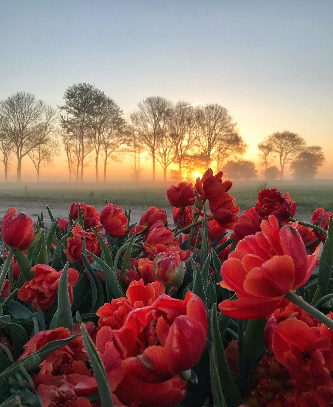 golden hour landscape photography