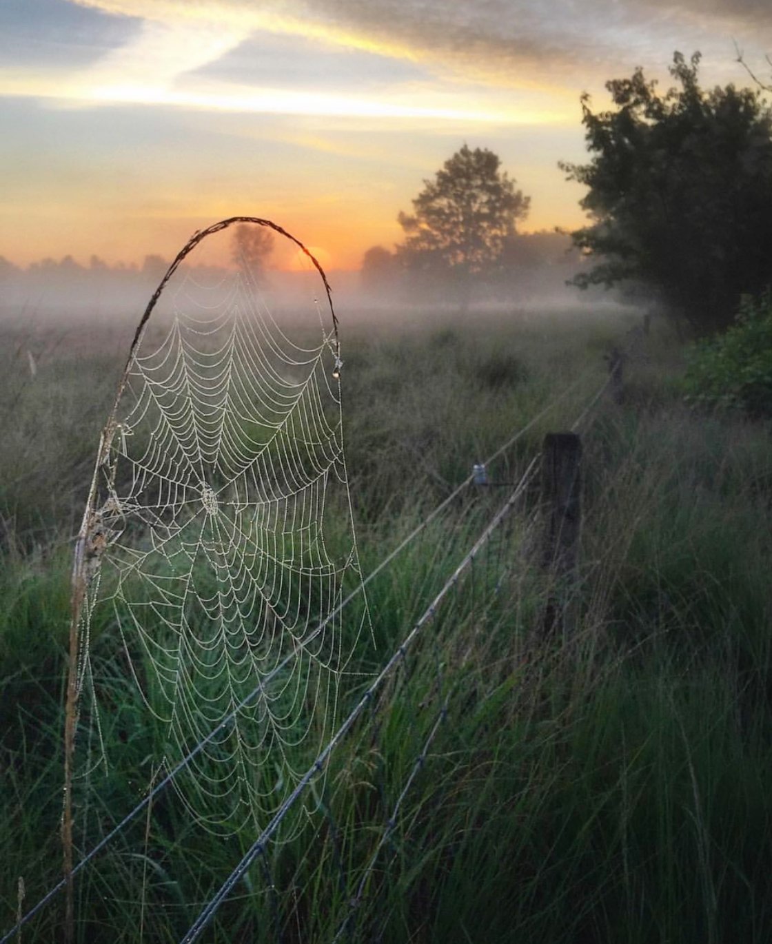 golden hour landscape photography