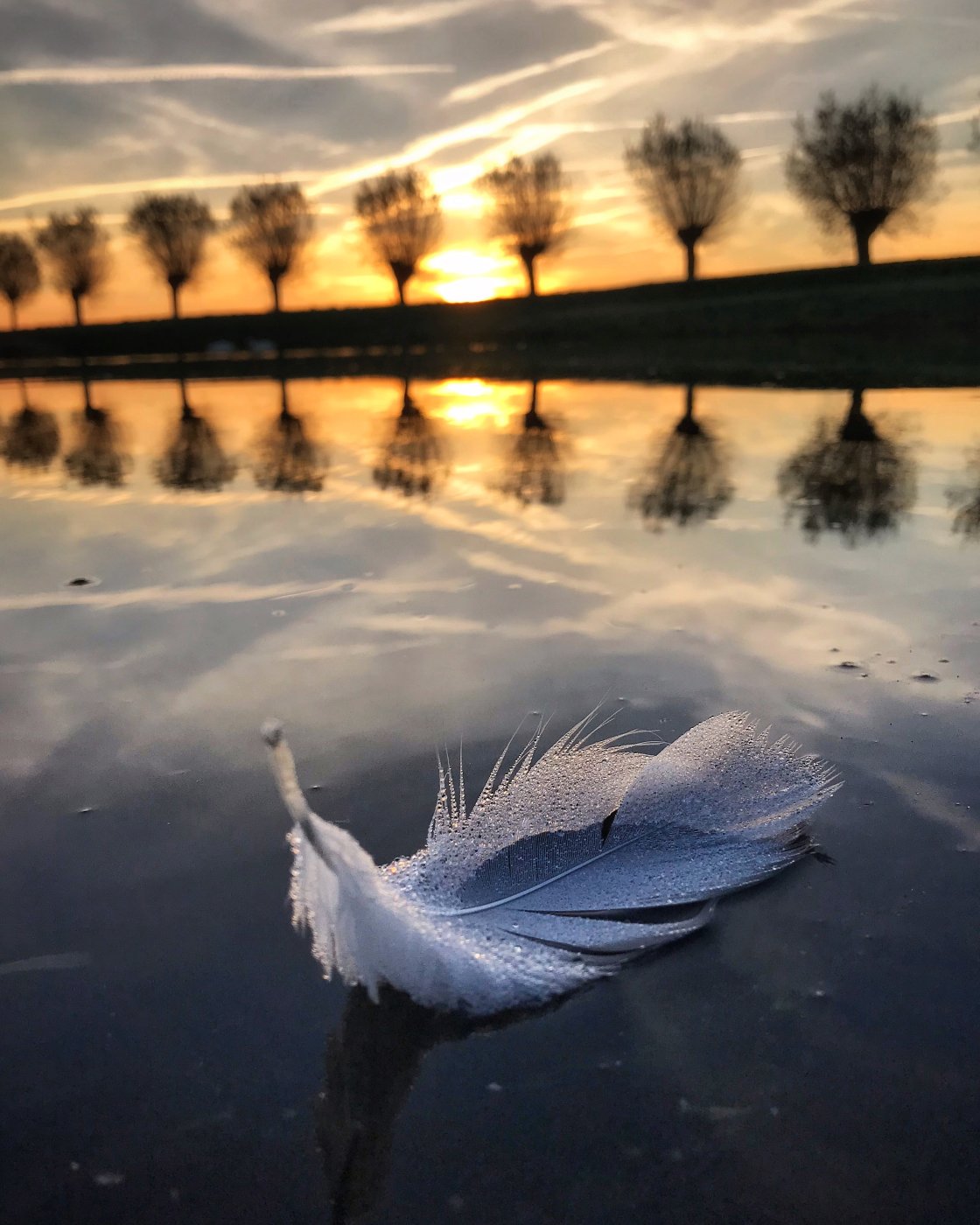 golden hour landscape photography