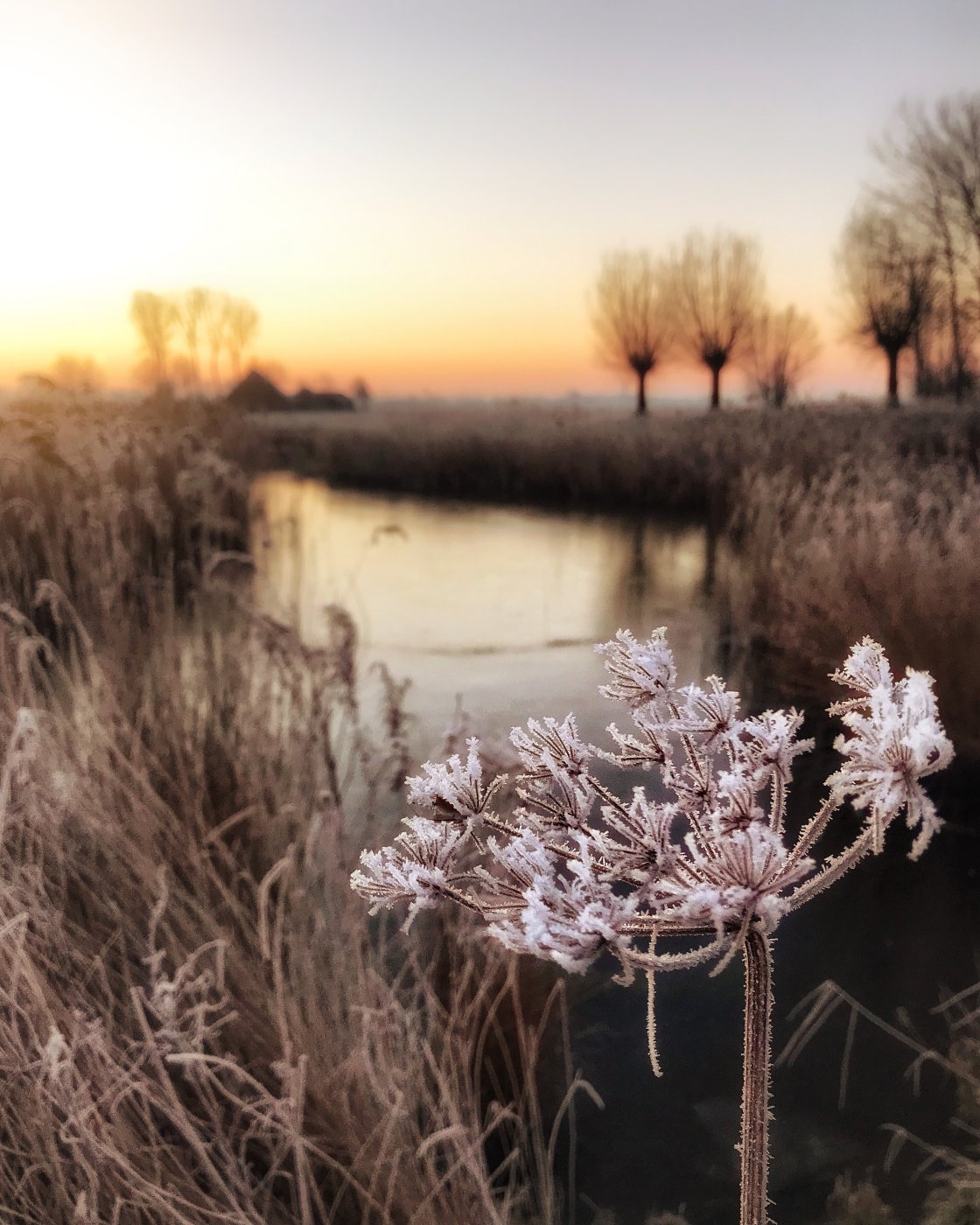 golden hour landscape photography