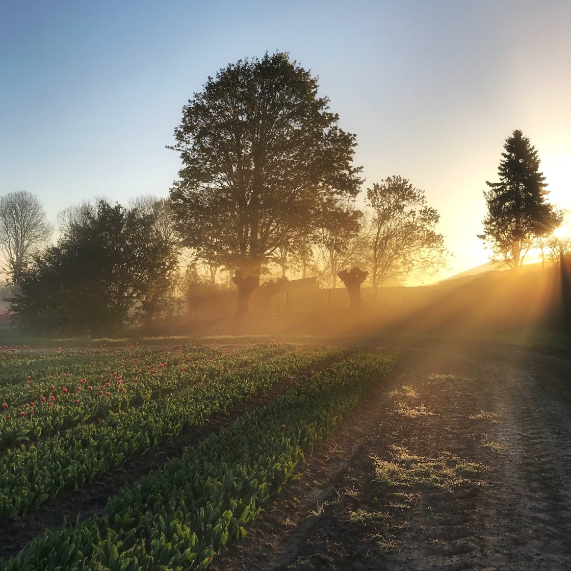 golden hour landscape photography