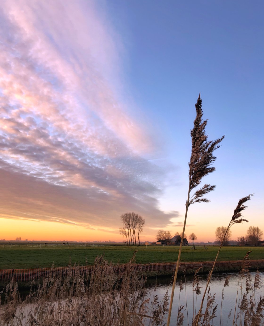 golden hour landscape photography