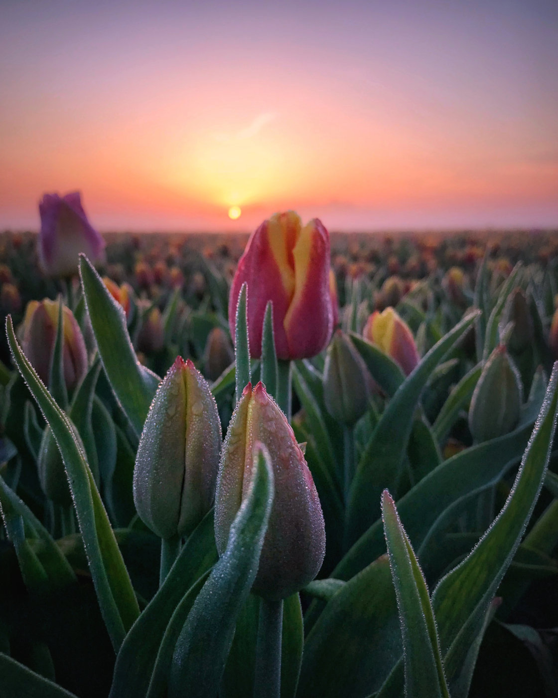 golden hour landscape photography