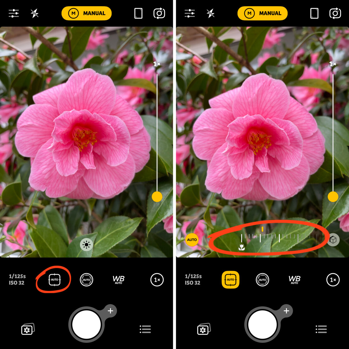 iPhone Camera Controls no script