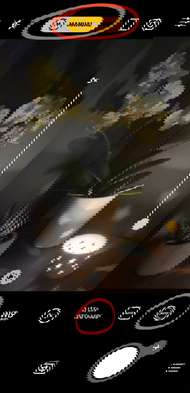 6 Advanced iPhone Camera Controls For JawDropping Photography