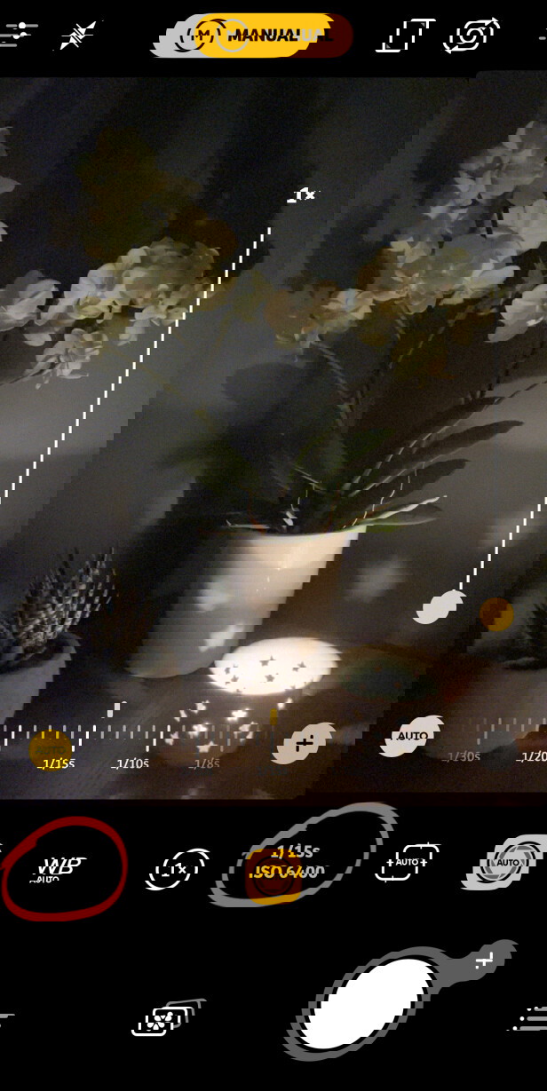 6 Advanced iPhone Camera Controls For JawDropping Photography