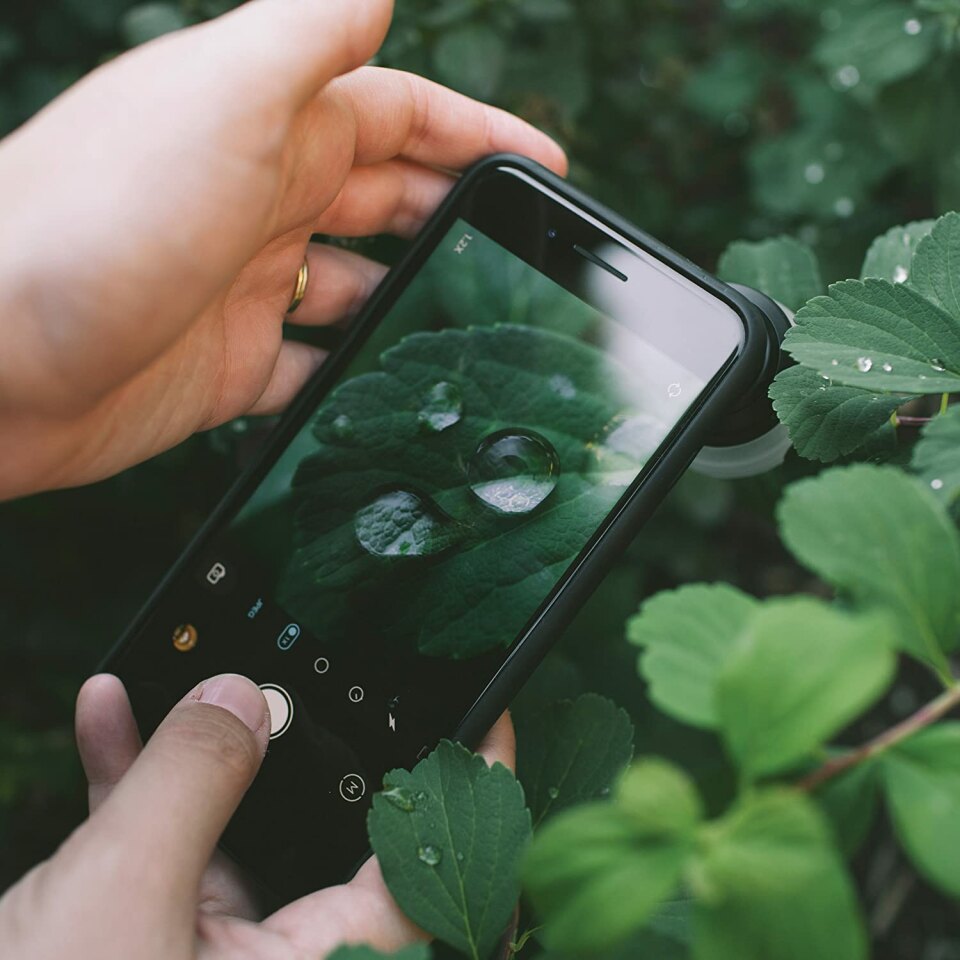 4 Easy Ways To Blur The Background In Your iPhone Photos