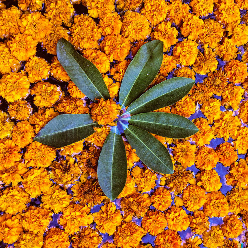 6 Color Concepts For Better IPhone Photography