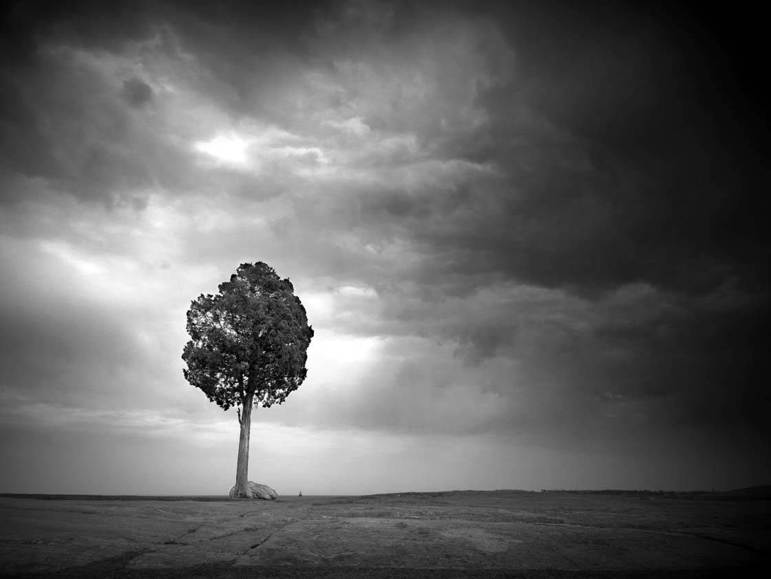 simple black and white photography nature