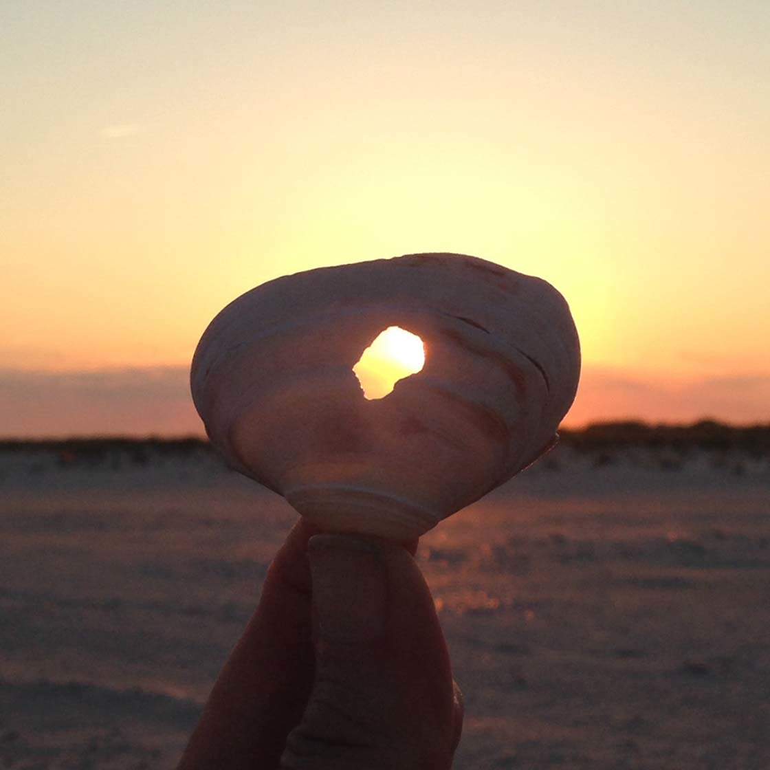 5 Cropping Techniques For Creating Better iPhone Photos