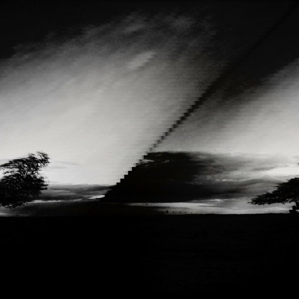 10 Tips For Creating Powerful Black & White iPhone Photos