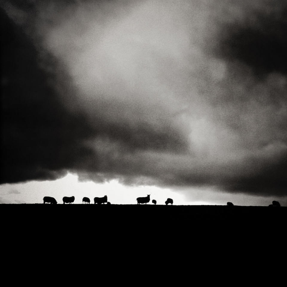 10 Tips For Creating Powerful Black & White iPhone Photos