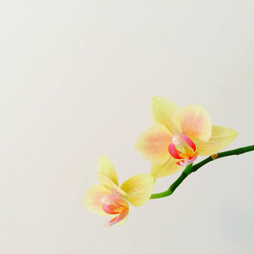 How To Create Powerful iPhone Photos Using Negative Space