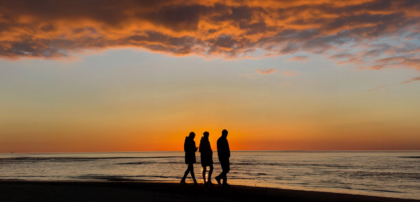 sunset silhouette