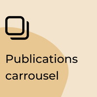 Carousel icon