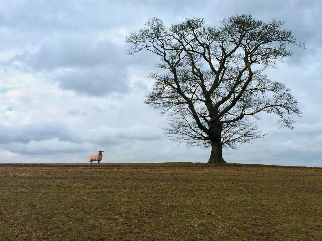 simple landscape photography