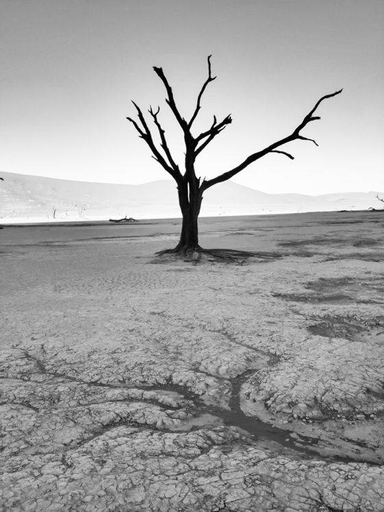 DeadVlei no script