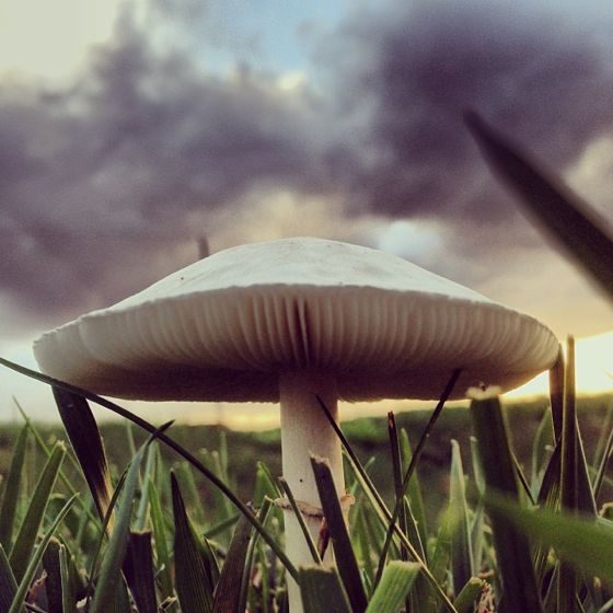 30 Amazing iPhone Photos of Nature and Landscapes