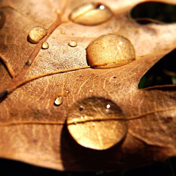 30 Amazing iPhone Photos of Nature and Landscapes