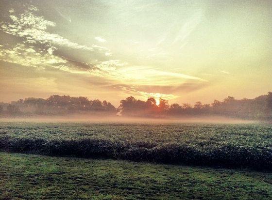 30 Extraordinary iPhone Photos of The Different Seasons