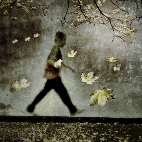 Skip-Autumn-Walk