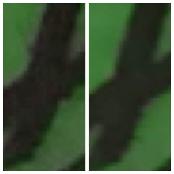 tiff vs jpeg close no script