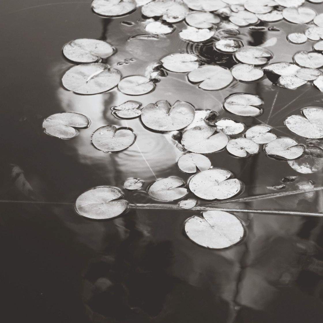 30 Great iPhone Photos of Rivers, Lakes, Seas And More