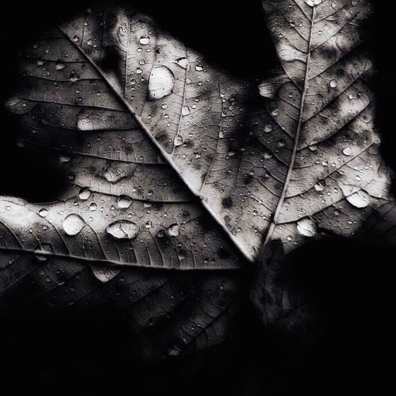 30 Great iPhone Photos of Rivers, Lakes, Seas And More