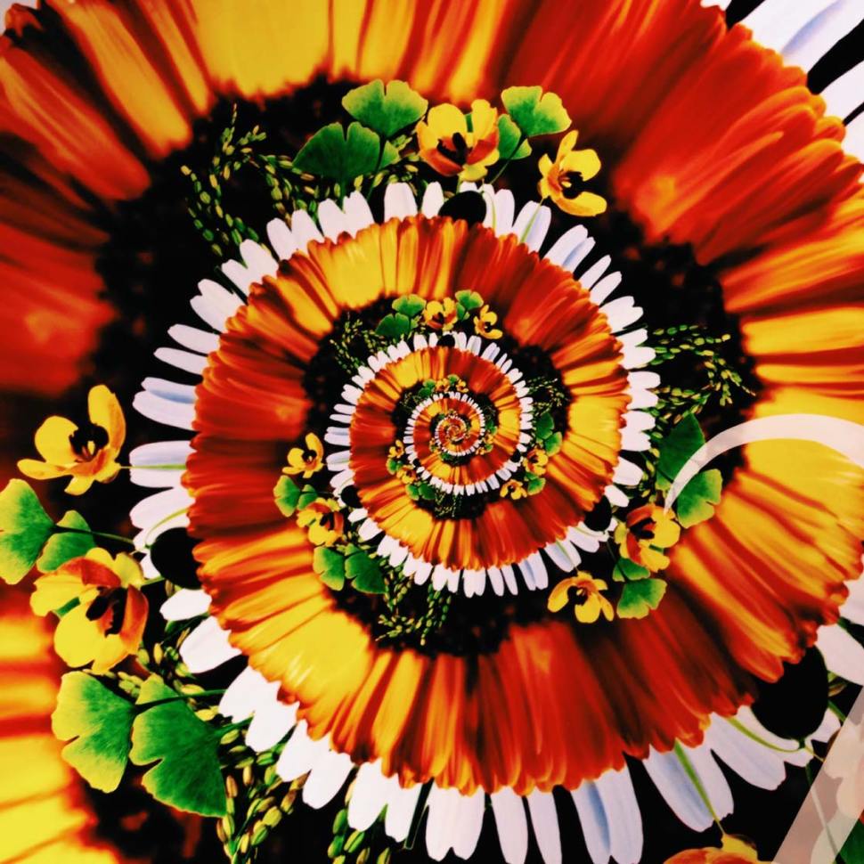 30 Beautiful Photos Of Flowers Taken With The iPhone