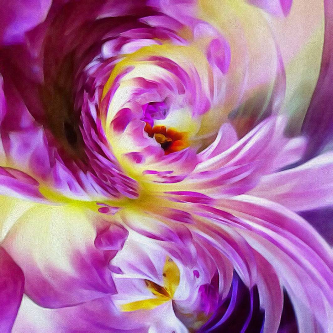 How To Create Abstract Art With Your iPhone Flower Photos