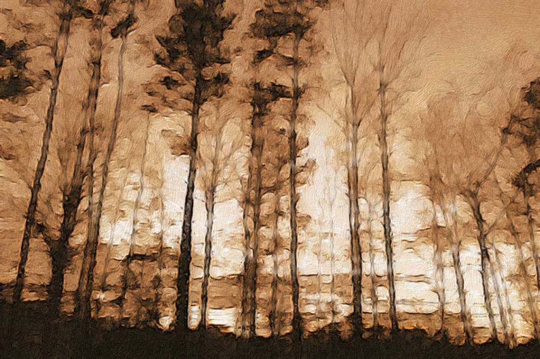 30 Beautiful Examples Of Painterly iPhone Photos