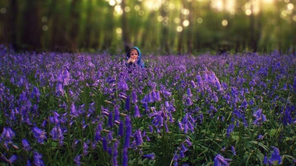 IPHONE CAMERA TUTORIAL FOR BEGINNERS visual data 6