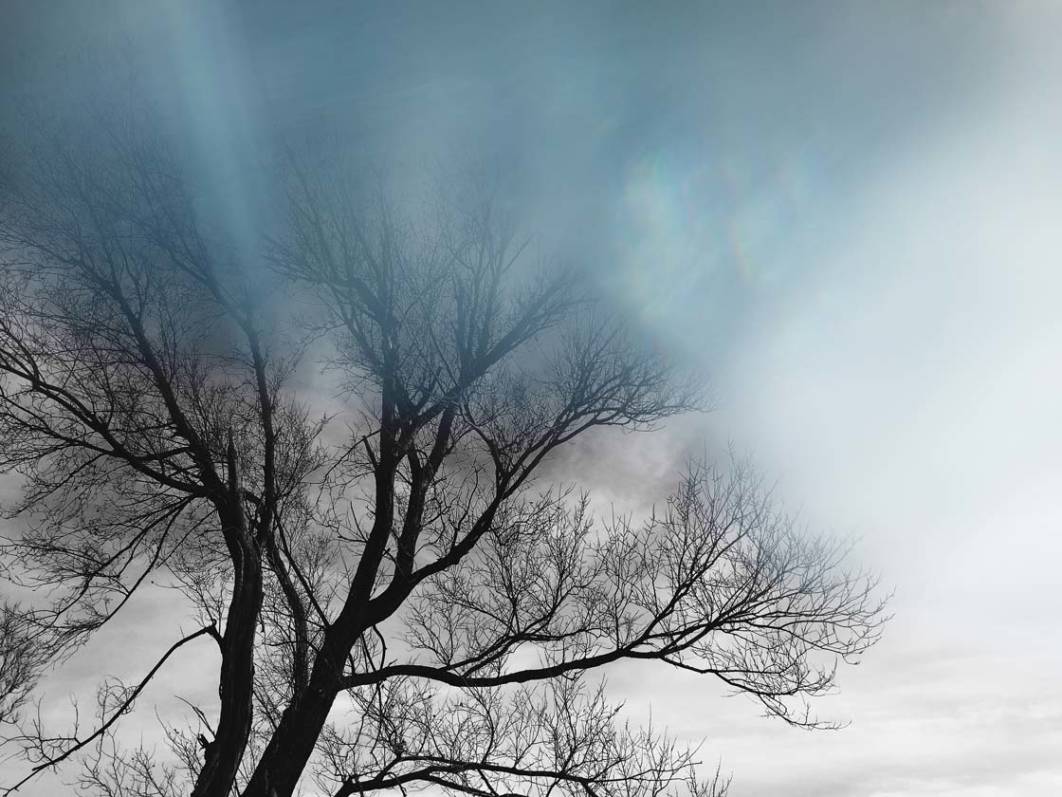 Lens Distortions App Creates Elegant iPhone Photo Filters