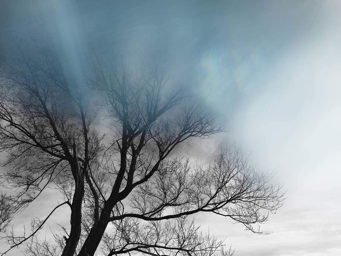 Lens Distortions App Creates Elegant iPhone Photo Filters