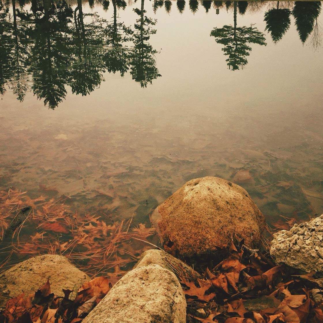 30 Stunning iPhone Photos Of Water & Reflections