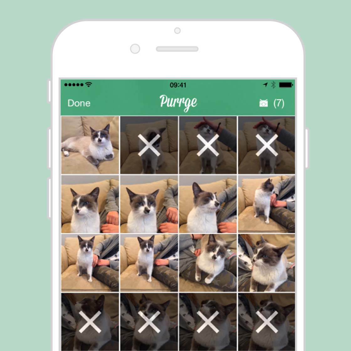 Purrge App iPhone Photos 7