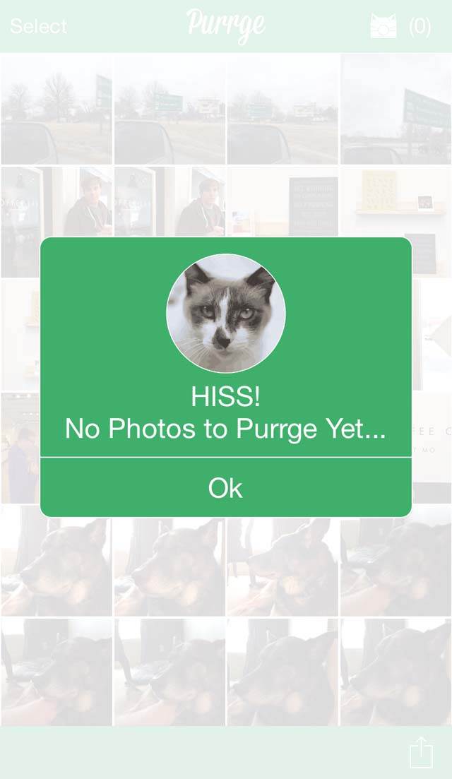 Purrge App iPhone Photos 5