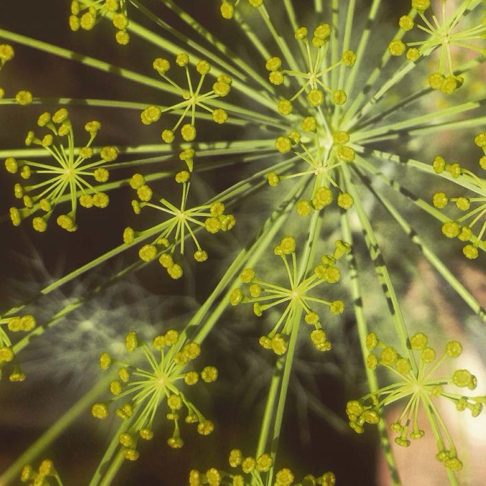 30 Incredible iPhone Photos In Square Format