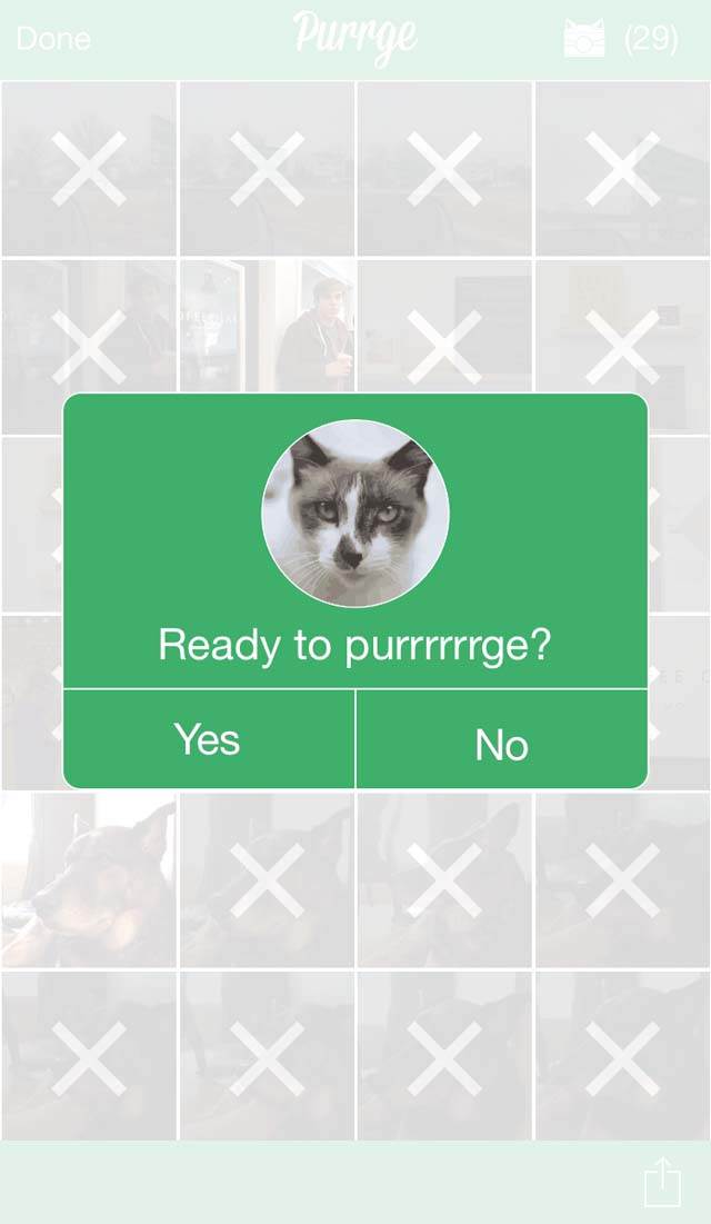 Purrge App iPhone Photos 4