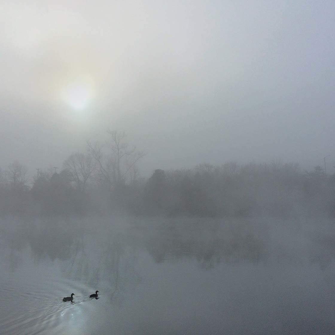 10 Tips For Taking Beautiful Iphone Photos In Mist And Fog