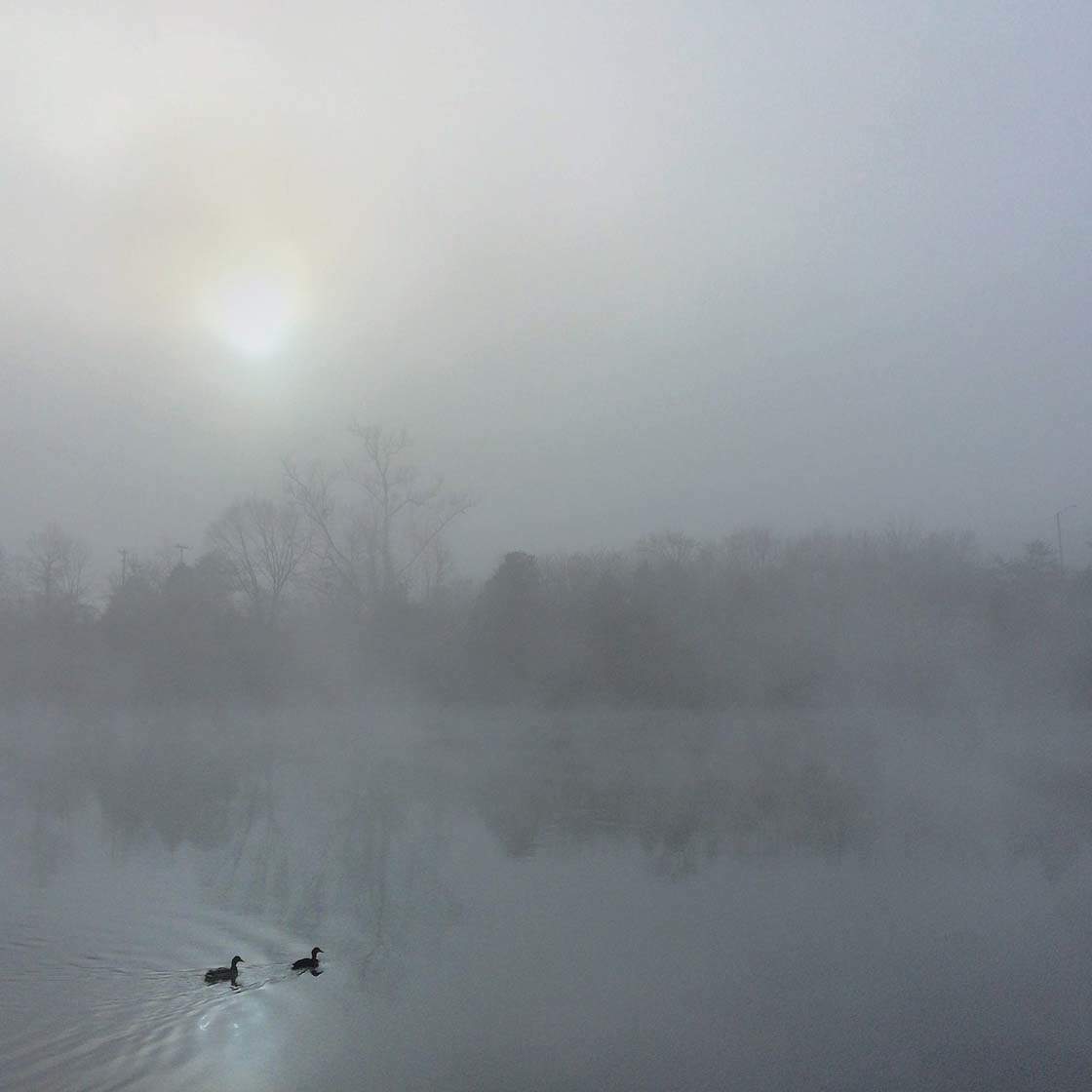 top 90+ Pictures how to take pictures of fog Excellent