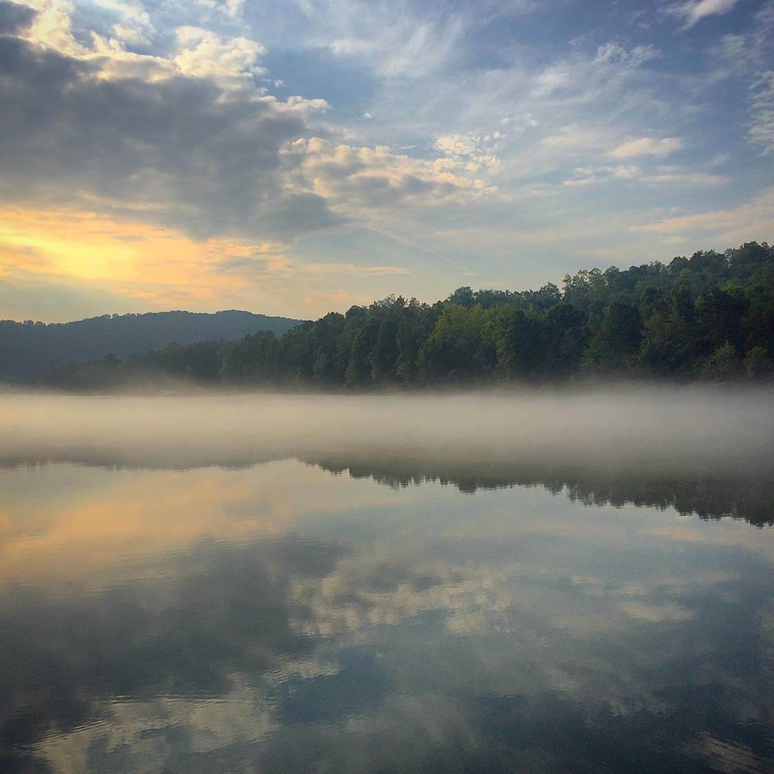 10 Tips For Taking Beautiful iPhone Photos In Mist & Fog