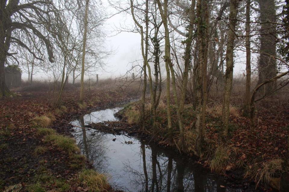 How To Edit Digital Camera Photos Using iPhone Apps