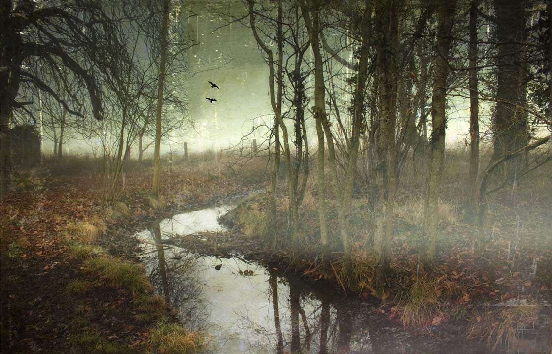 How To Edit Digital Camera Photos Using iPhone Apps