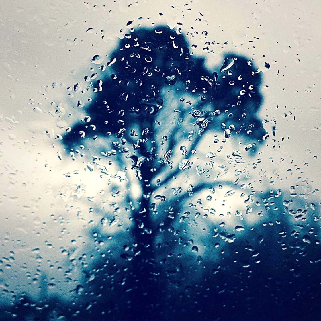 13 Creative iPhone Photography Projects For A Rainy Day