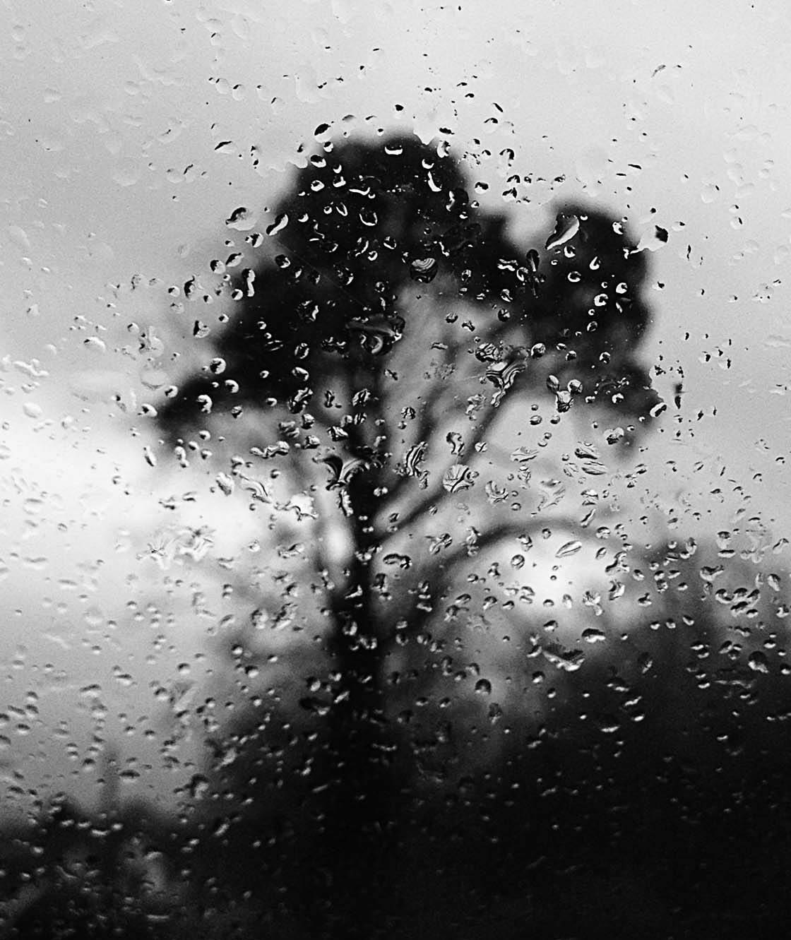 Rainy Day iPhone Photos 40 no script