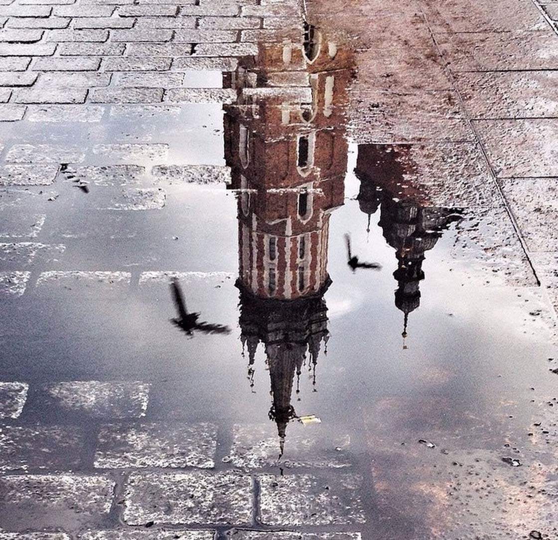 30 Stunning Reflection Photos Taken With An IPhone