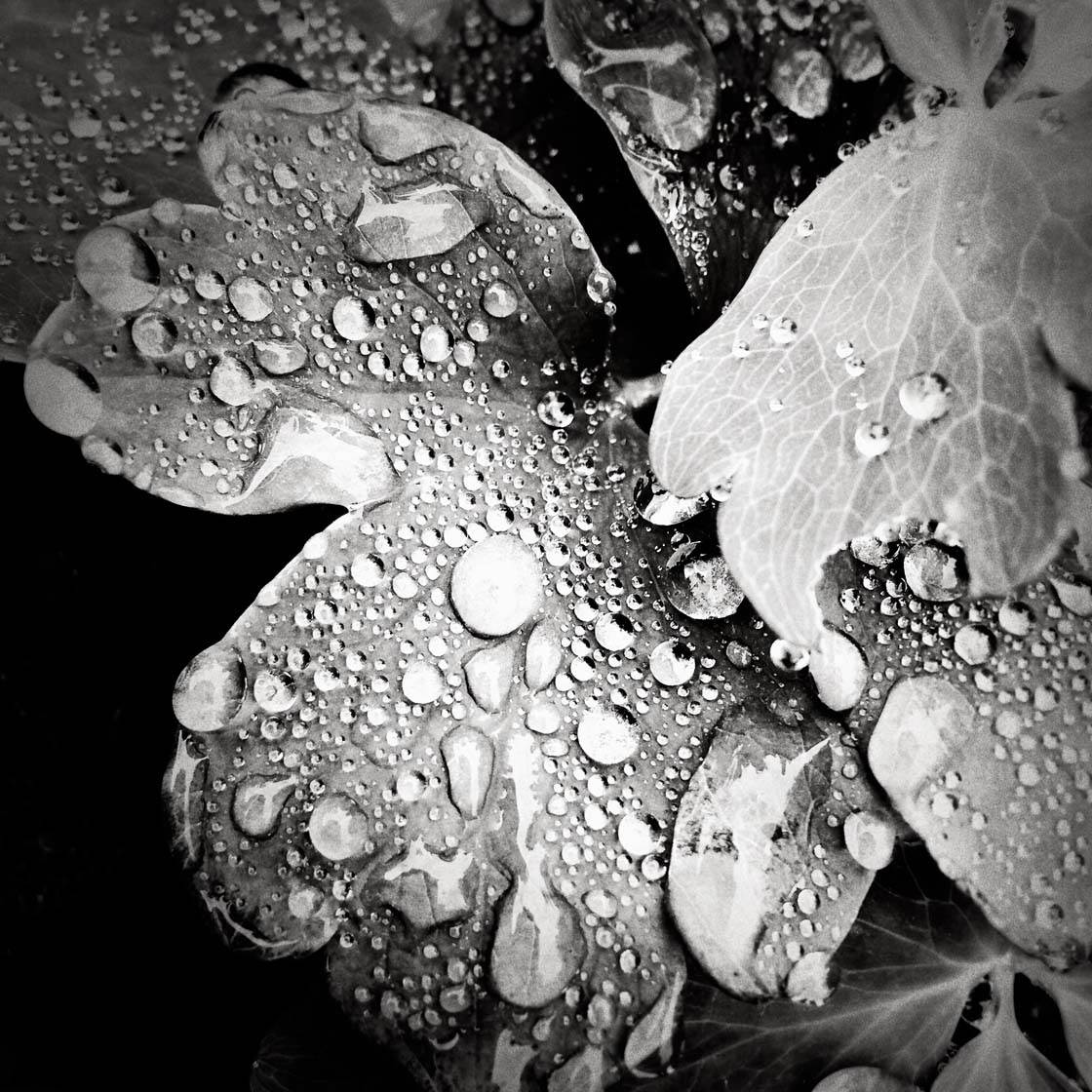 Rainy Day iPhone Photos 25 no script