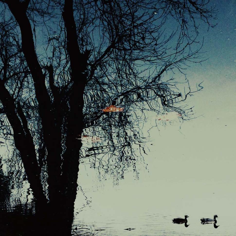 11 Tips For Taking Beautiful iPhone Photos Of Nature